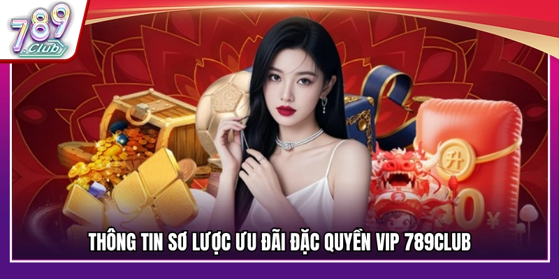 Tổng quan về hệ thống đặc quyền VIP 789Club
