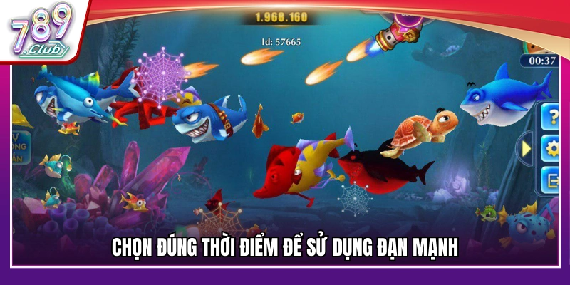 Kỹ thuật dùng đạn lớn vào thời gian thích hợp